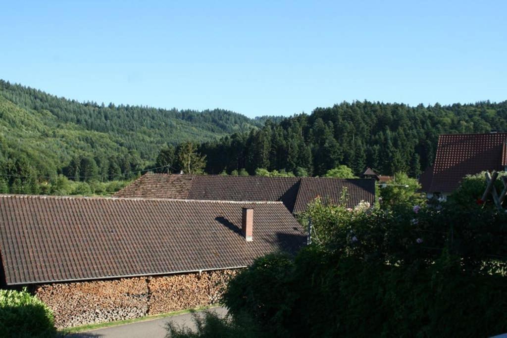 Ferienwohnung Hoehner Gengenbach Eksteriør billede